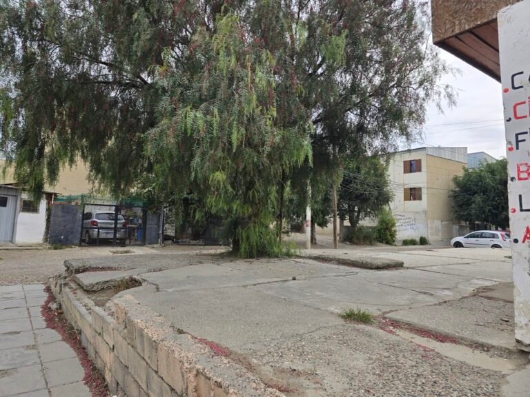 Mujeres unidas contra la violencia infantil: “No vamos a dejar que esto quede impune”