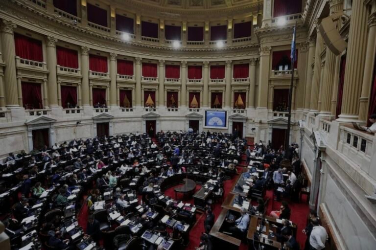 Diputados buscará consensuar un nuevo Régimen Penal que bajaría la edad de imputabilidad a los 14 años