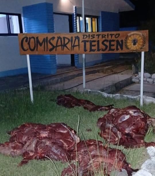 Lo pararon en un control y descubrieron que llevaba 250 kilos de carne de manera irregular