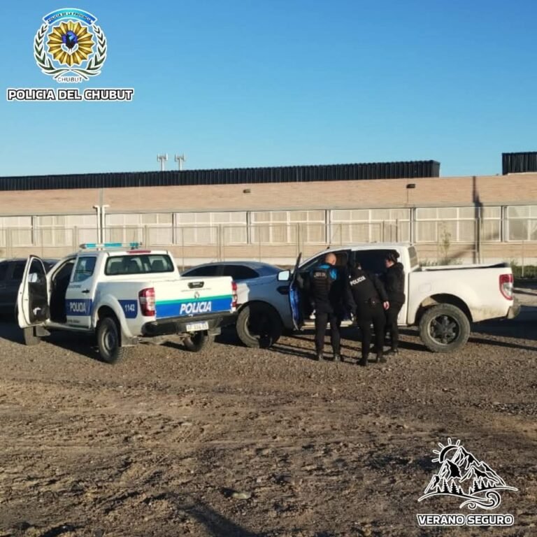 Fue a dejar a sus hijos a la escuela y terminó detenida