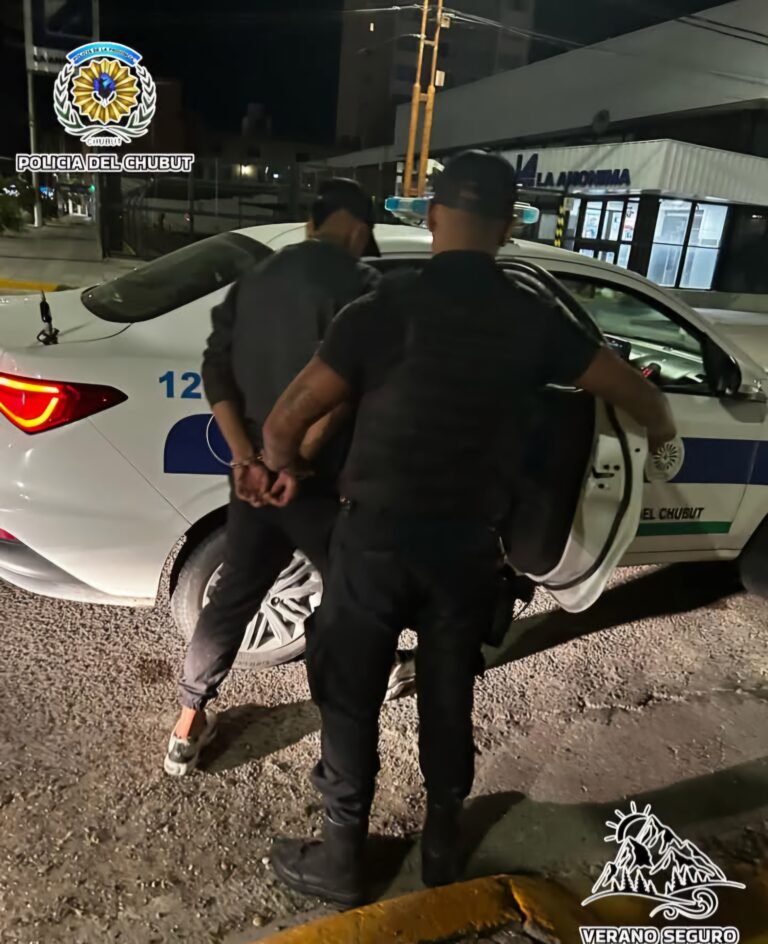 Operativos Verano Seguro: secuestraron 42 armas de fuego y 50 armas blancas