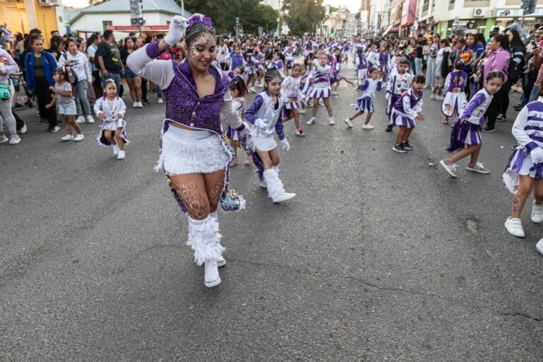 Othar: “Los carnavales son una manifestación cultural y muchos jóvenes muestran su pertenencia a su barrio”