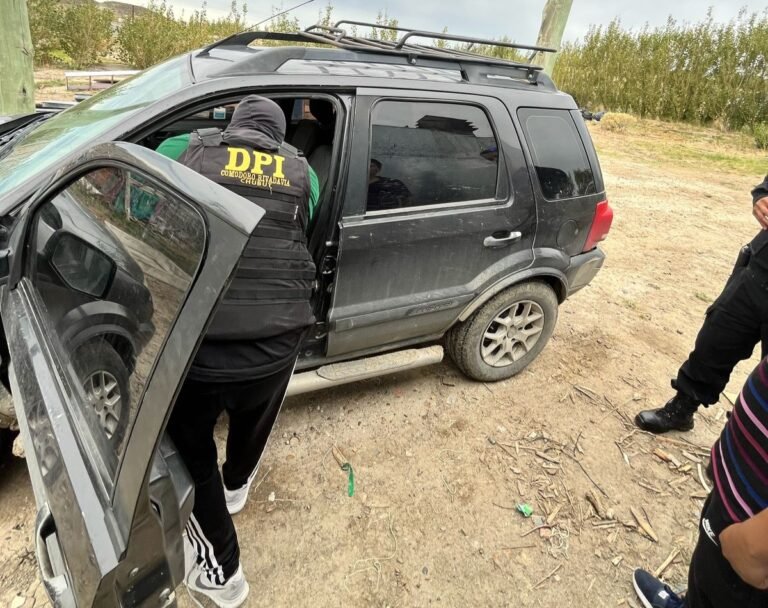 Encontraron armas y plantas de marihuana en un allanamiento en una casa de Km 17