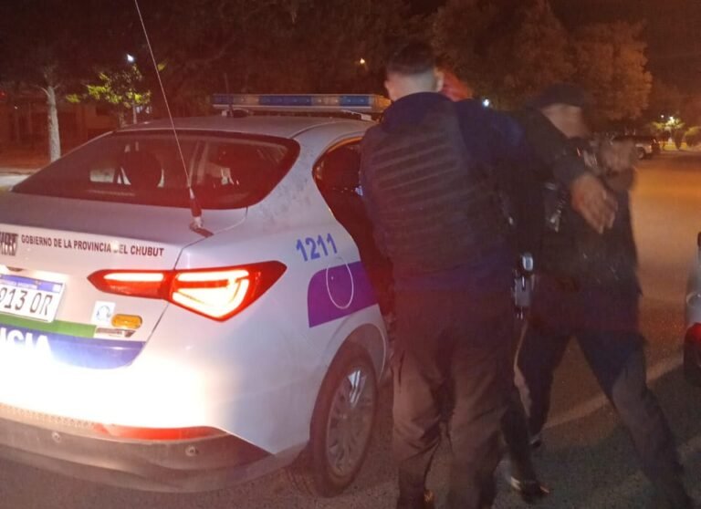 Le robó el celular a una joven en la vía pública y salió corriendo