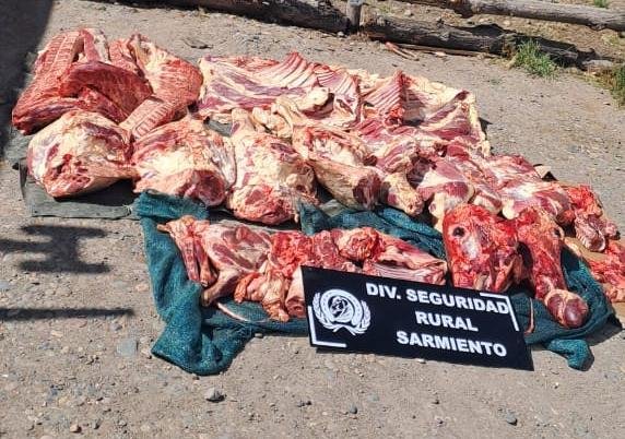 Los pararon en un control y descubrieron que llevaban dos terneros depostados y media res de cordero