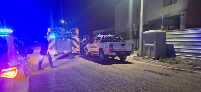 Dejó las brasas del asado encendidas y provocó un incendio