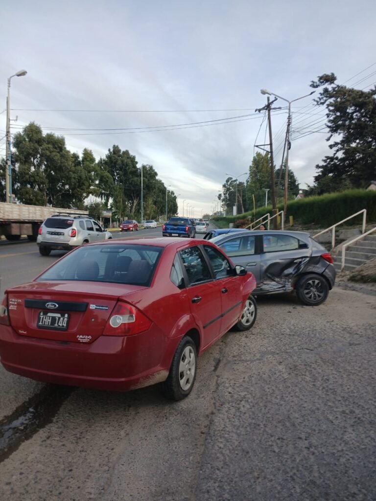 Accidente vehicular al frenar por un perro