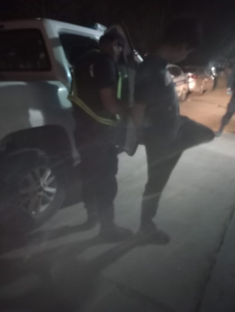 Golpeó a su madre y agredió a un efectivo policial