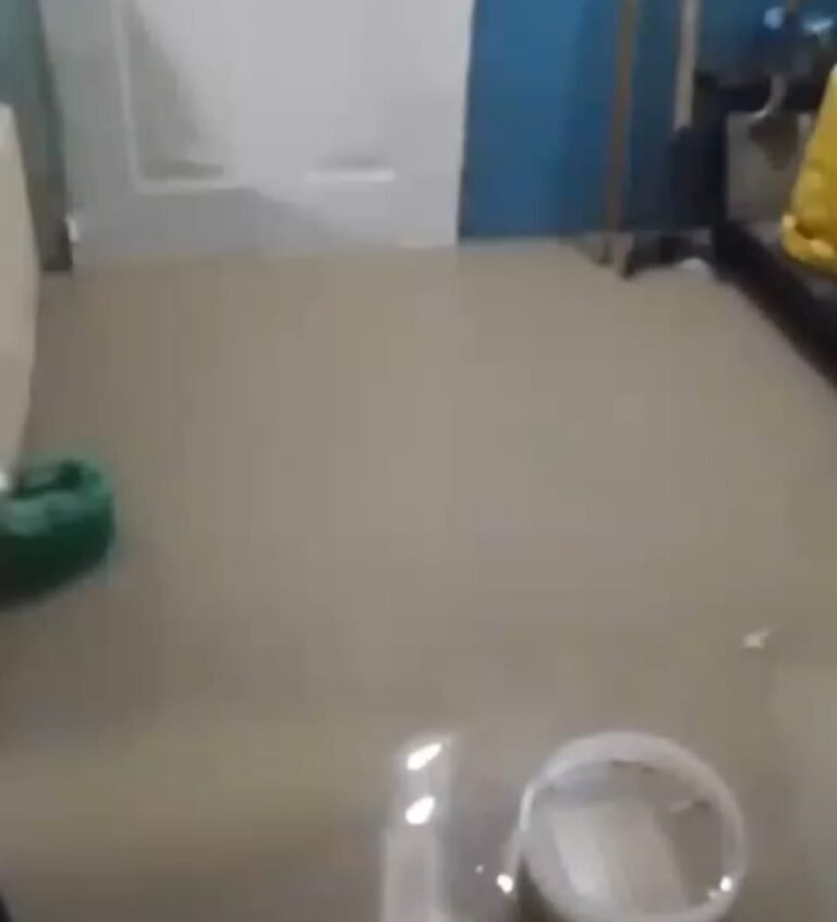 Familia del barrio Pueyrredón pide ayuda para volver a su vivienda