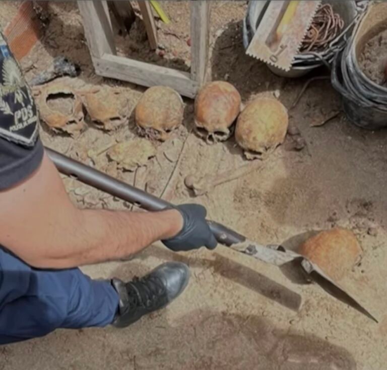Macabro hallazgo: obreros encontraron 10 cráneos en el fondo de una casa