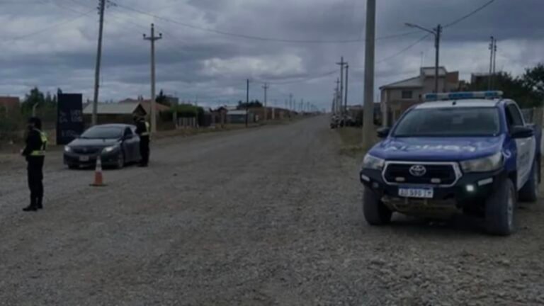 Encontraron a un nene de 13 años y su perro muertos por monóxido de carbono