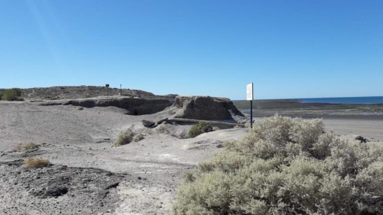 Convocan a una limpieza en la playa La Compresora: “Sumate”
