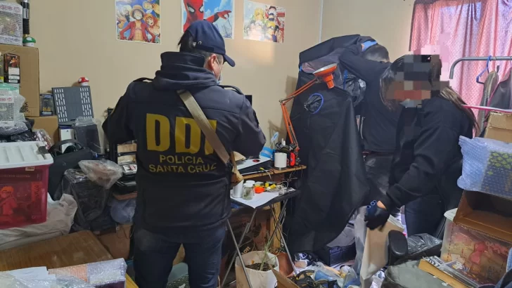 Allanaron una vivienda por distribución de material de abuso sexual infantil