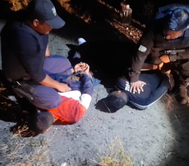 Dos hombres intentaron robar una oveja y fueron detenidos