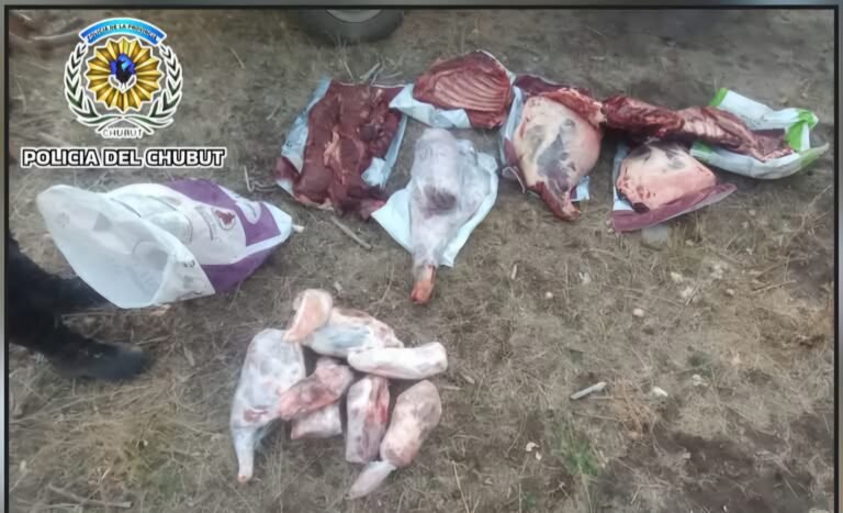 Intentaba transportar carne de ciervo y se la confiscaron