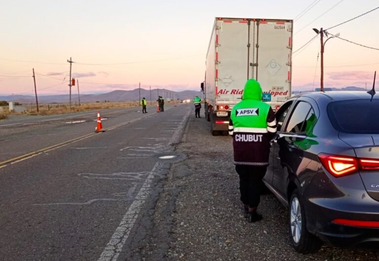 Comodoro fue la ciudad con más conductores positivos en alcoholemia