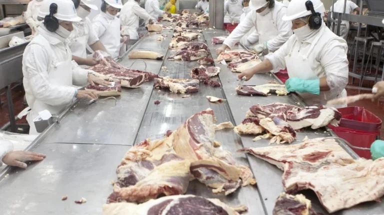 Luego de 23 años, habilitaron el ingreso de carne con hueso a la Patagonia