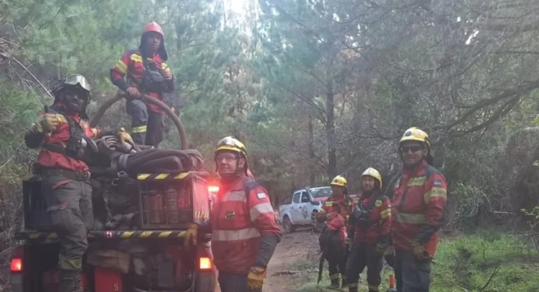 Se declaró extinguido el incendio en El Pedregoso a un mes de su inicio