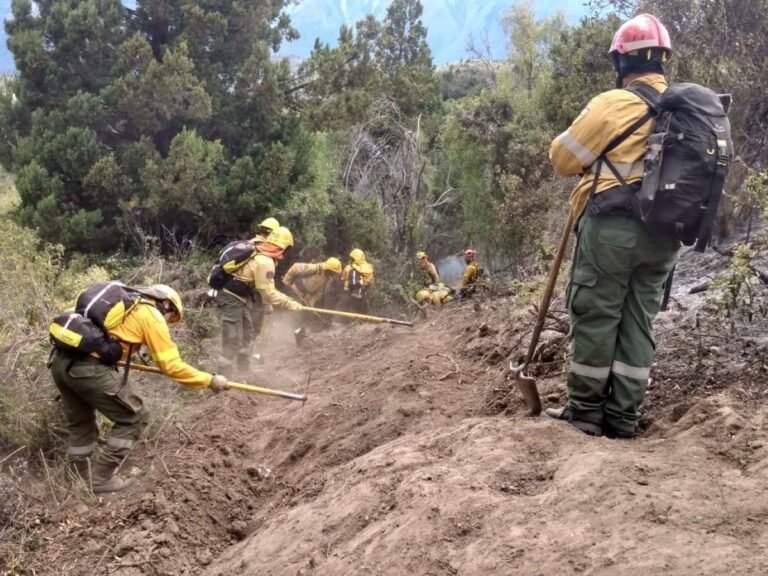 Calma el fuego en algunos sectores de Los Alerces y ya afectó más de mil hectáreas