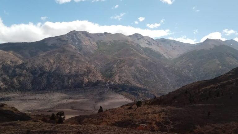 Se controlaron los incendios forestales en la cordillera