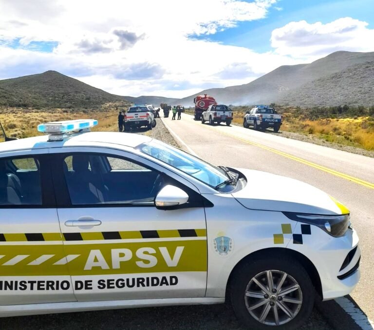 Verano Seguro: Más de 11 mil vehículos controlados y 60 conductores ebrios retirados de las calles