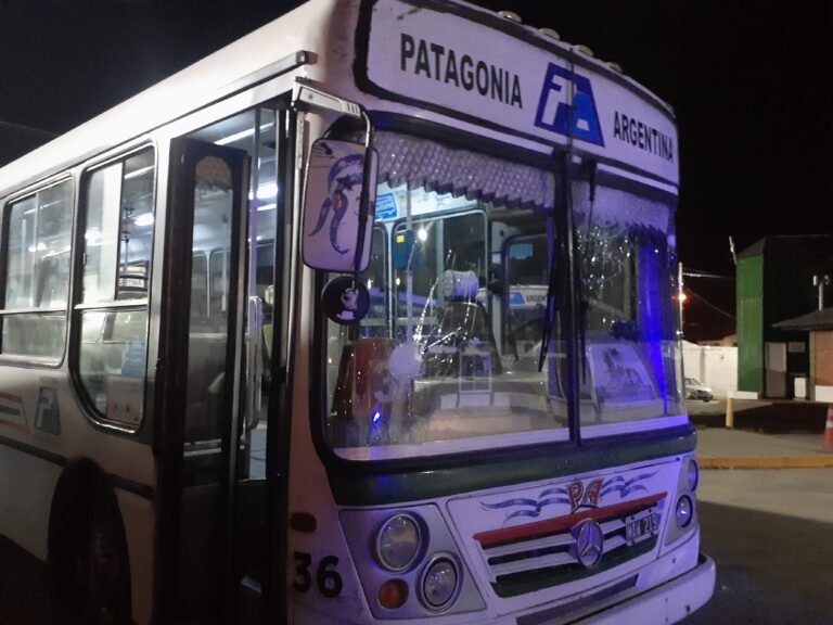 Apedrearon a un colectivo de la línea 3 cuando iba por Avenida Chile