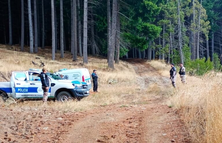 Desmantelaron una industria maderera ilegal en Lago Puelo