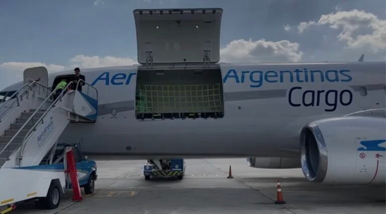 Por primera vez en 17 años, Aerolíneas Argentinas no necesitará fondos del Estado