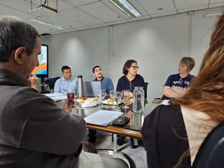 Trabajan en la reglamentación de la Ley de Cannabis Medicinal