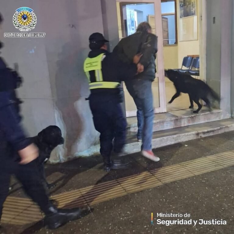 Pedía comida a cambio de no romper la panadería