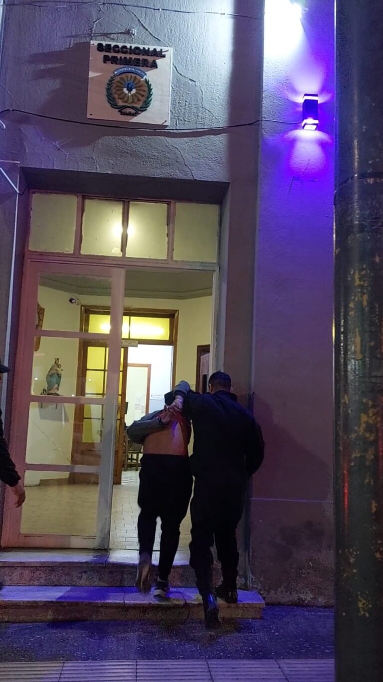 Golpeó a su pareja y la mujer lo denunció ante la Policía