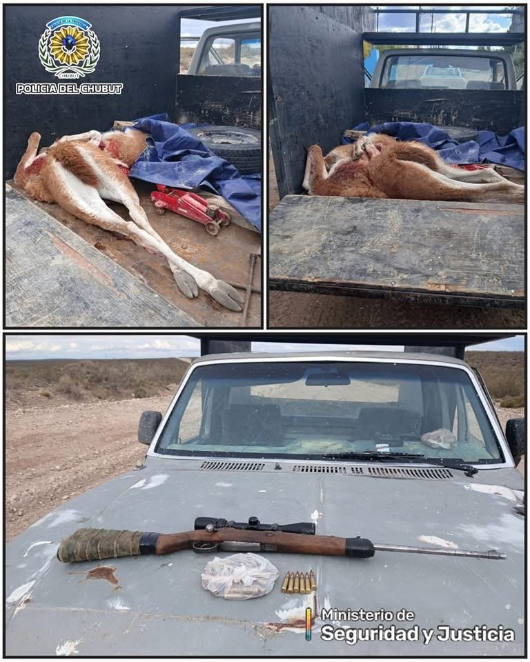 Los atraparon con guanacos faenados y un arma en la camioneta