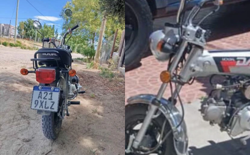 Ladrones entraron a una vivienda y robaron una moto en el barrio La Floresta