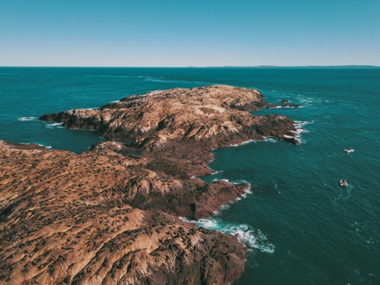 Crearon una nueva Área Natural Protegida en Chubut: el Parque Provincial Patagonia Azul