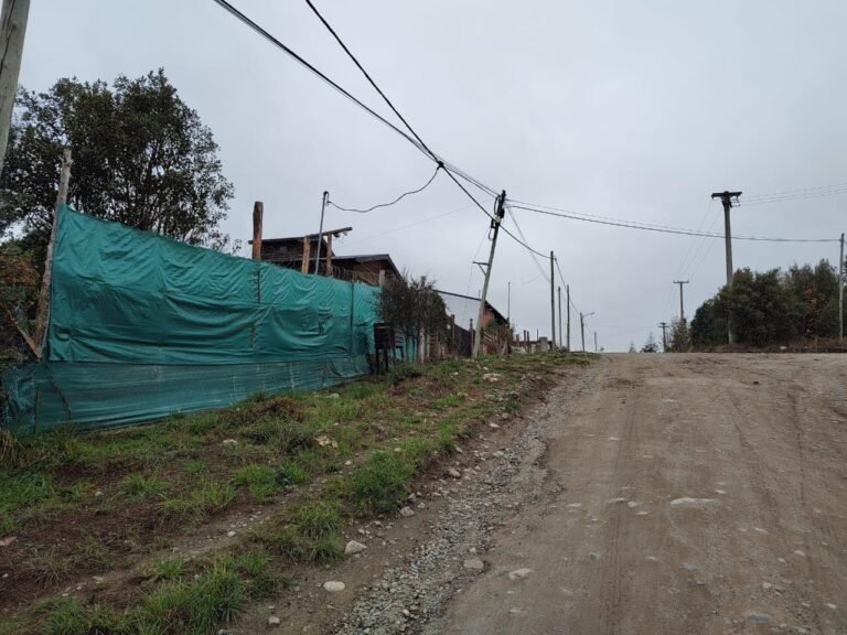 Millonario robo en una asociación civil de cannabis medicinal