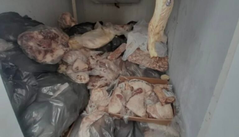 Tenían carne congelada desde hace tres años para vender