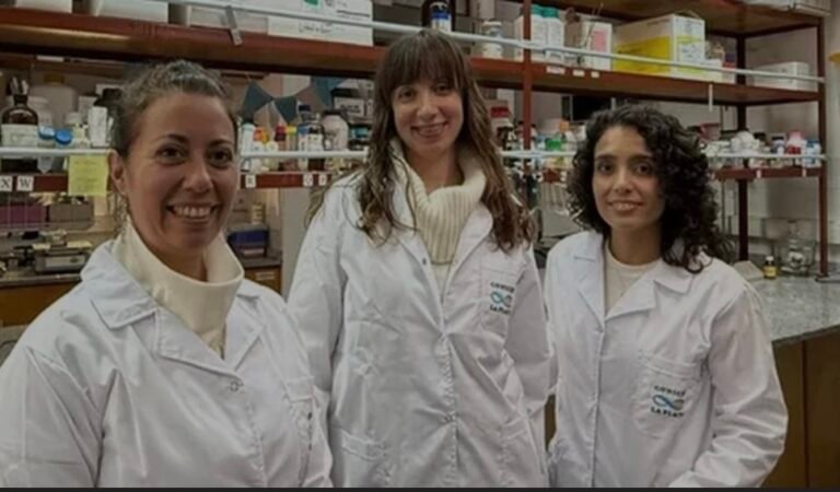 Científicas argentinas crearon un vendaje que cura heridas más rápido