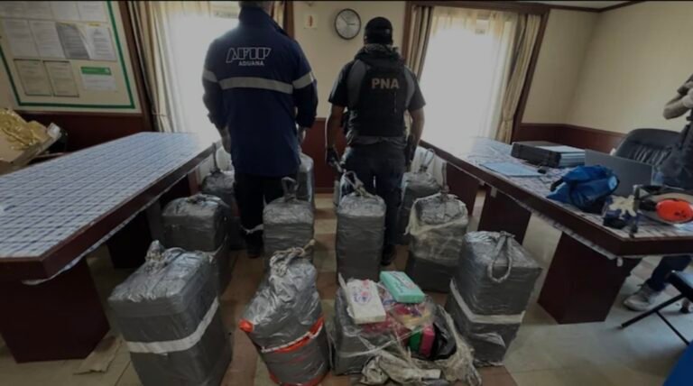 Golpe al narcotráfico: encontraron más de 400 kilos de cocaína en un buque que venía de Dubai