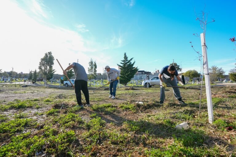 Se avanza con tareas de mantenimiento en el Cementerio Oeste y en las distintas plazas