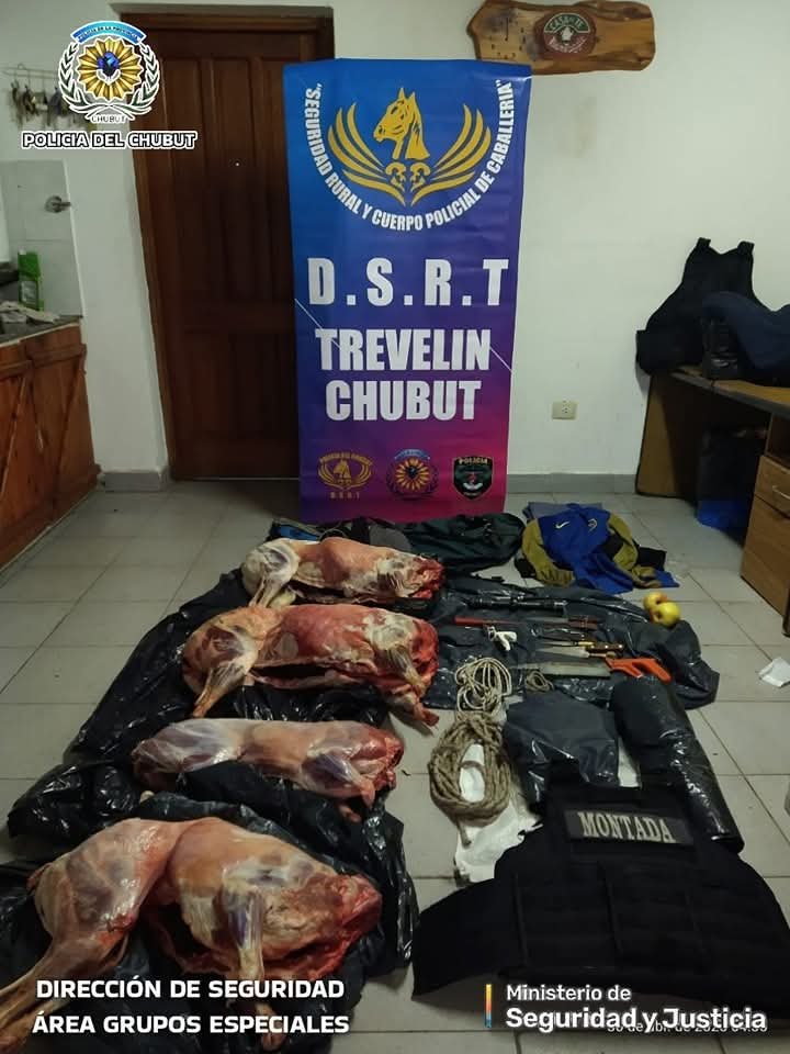 Tres hombres se dieron a la fuga tras ser sorprendidos faenando ovinos ilegalmente