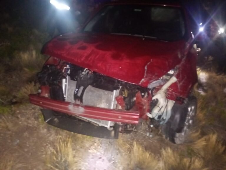 Iba por Ruta 3, se le cruzó un animal en el camino y volcó
