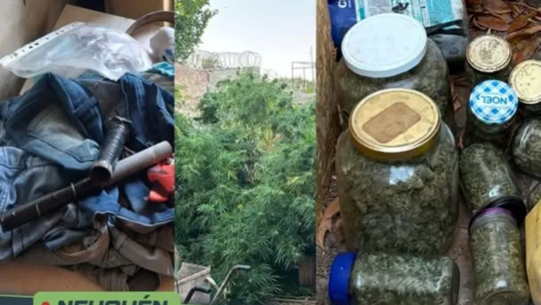 Allanaron a su ex nuera por amenazas y encontraron más de 3 kilos de marihuana