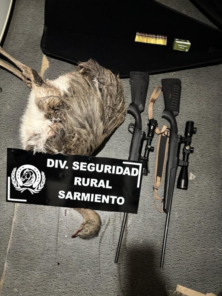 Llevaban armas, un choique escondido y los descubrió la policía en un control