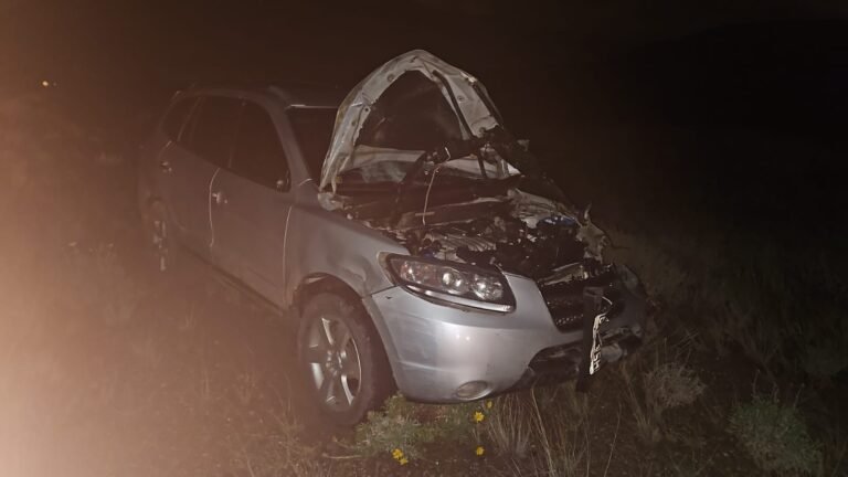 Manejaba por la Ruta N°39 y chocó contra un caballo