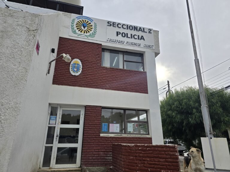 Violento robo: amenazaron con un arma y una picana a empleados y clientes