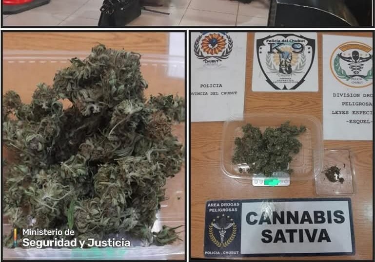 En una terminal de colectivos, identificaron a un prófugo y secuestraron marihuana