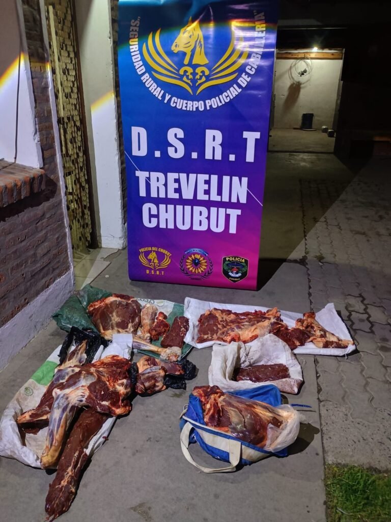 Lo pararon en un control y descubrieron que llevaba un guanaco despostado