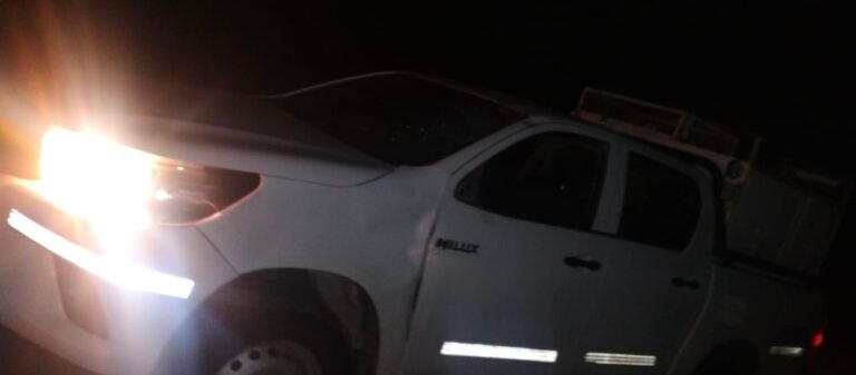 Una camioneta chocó contra un caballo camino a Diadema