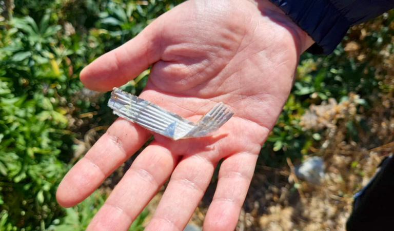 Patagonia contaminada: plásticos invaden los ríos cordilleranos