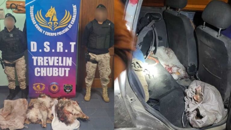 Lo pararon en un control y descubrieron que llevaba dos ñandúes faenados